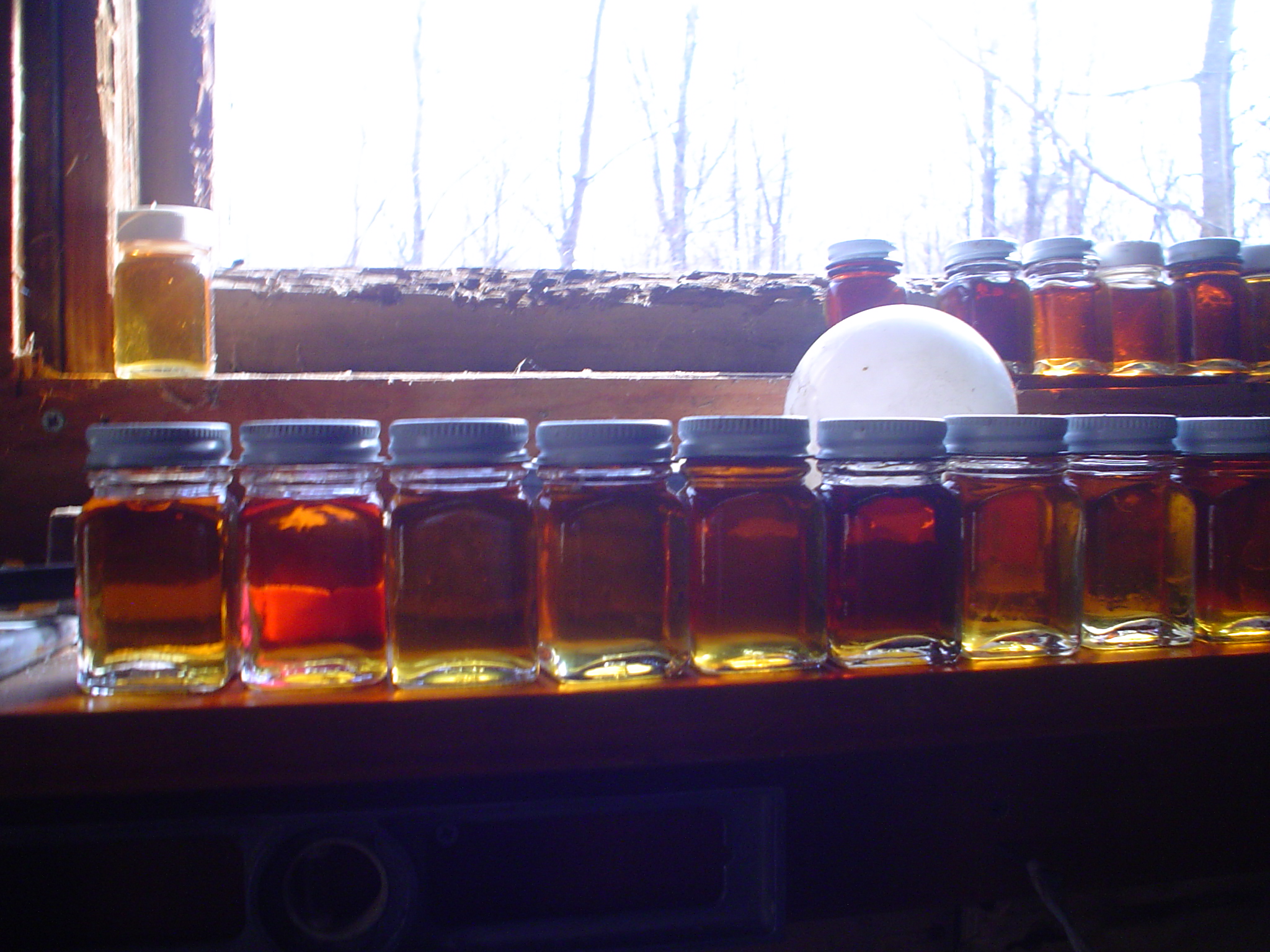 2011 MA maple syrup crop
